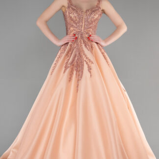 Somon İşlemeli Uzun Kuyruklu Özel Tasarım Prenses Abiye ABU3597