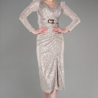 Vizon Uzun Kol Yırtmaçlı Midi Pullu Abiye Elbise ABK1808