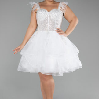 Ekru Üstü İşlemeli Balen Korse Kısa Büyük Beden Abiye ABK2087