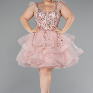 Pudra Üstü İşlemeli Balen Korse Kısa Büyük Beden Abiye ABK2087